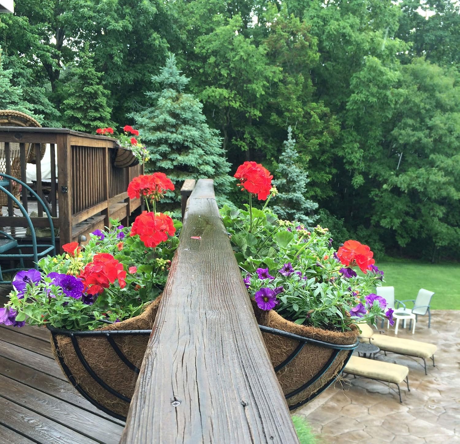 44 in Window Hayrack Wrought Iron Window Box PVC Coated Black - 2 Pack