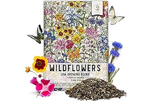 Seed Needs Low Growing Wildflower Seeds, 15,000+ Premium Wildflower Mix