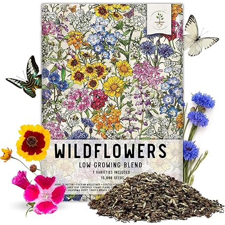 Seed Needs Low Growing Wildflower Seeds, 15,000+ Premium Wildflower Mix