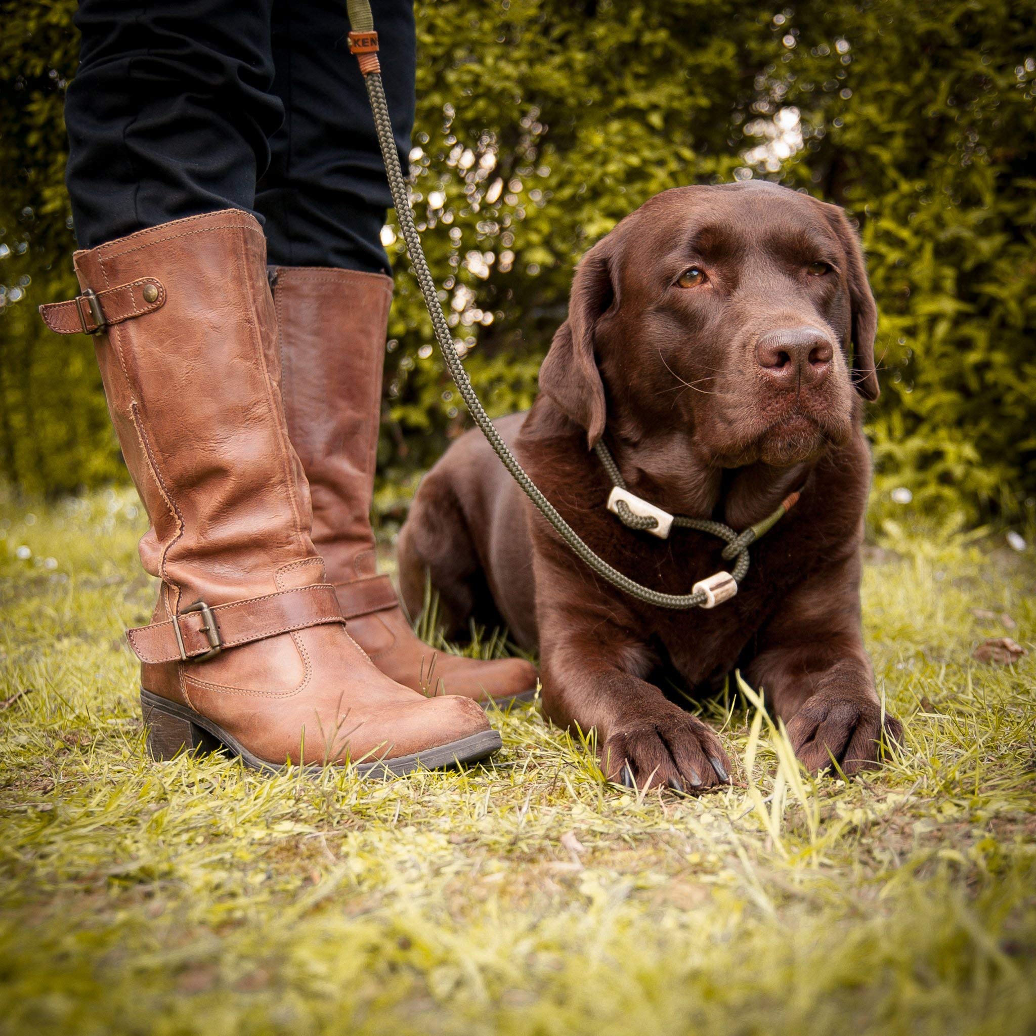 Moxonleine Retriever-Leine - Handgefertigt Aus Tau Mit Horn-Stopper
