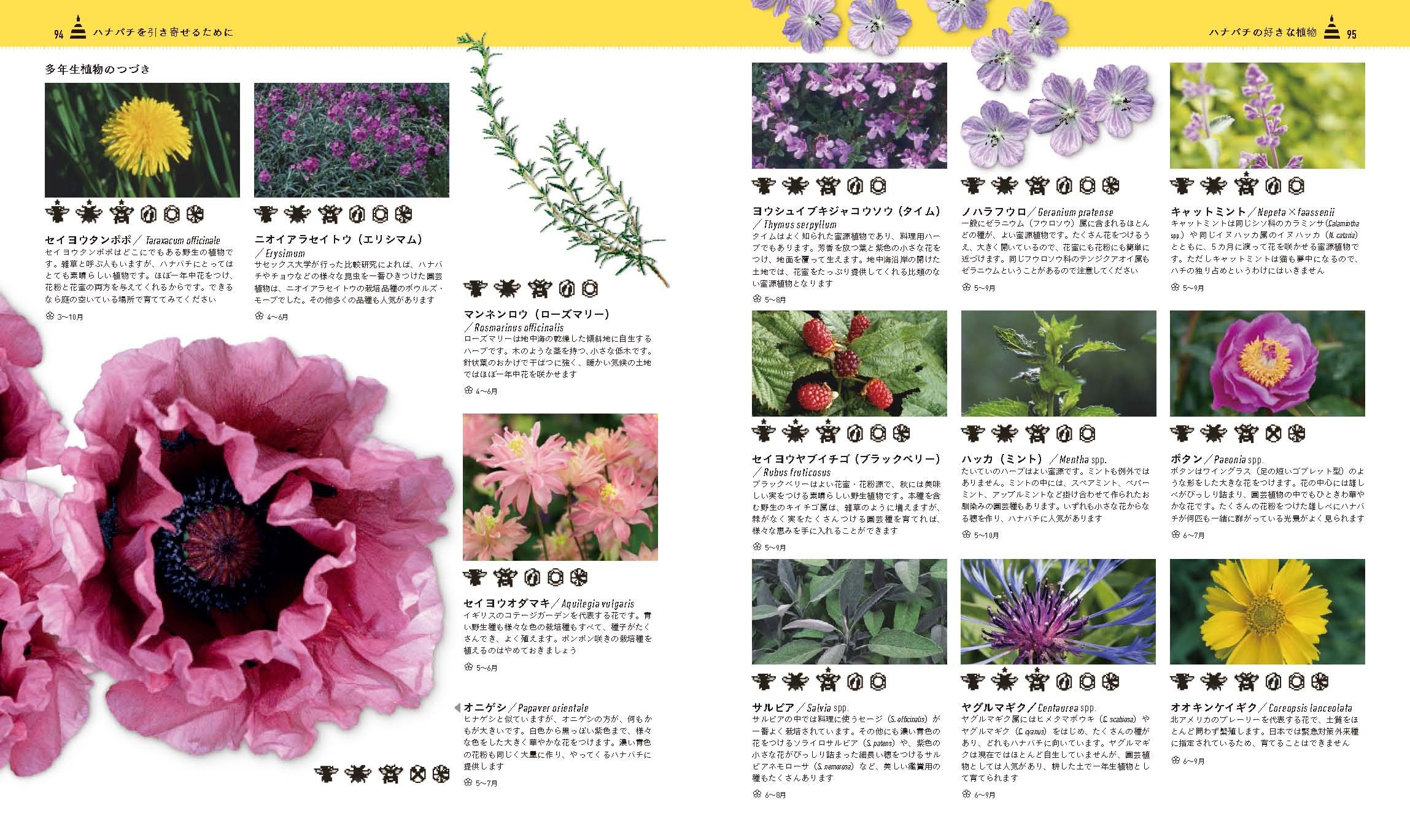 ミツバチの教科書 フォーガス チャドウィック スティーブ オールトン エマ サラ テナント ビル フィツモーリス ジュディー アール 中村 純 伊藤 伸子 配送料無料