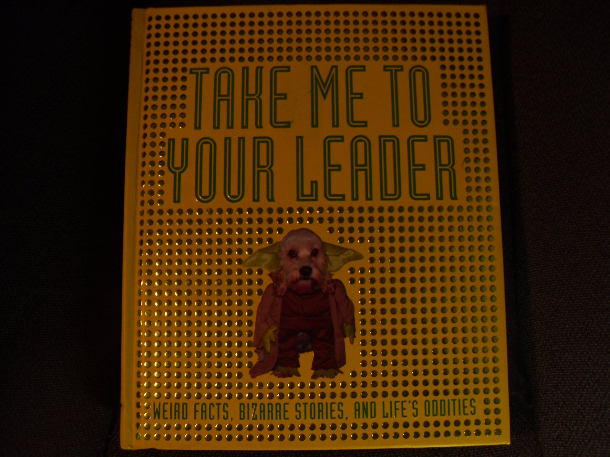 Buy Take Me to Your Leader — BookShops.in