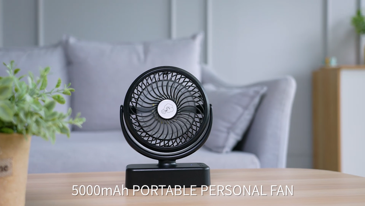 Product Photo 7