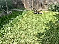 Review Image by Christopher E. Christopher E.