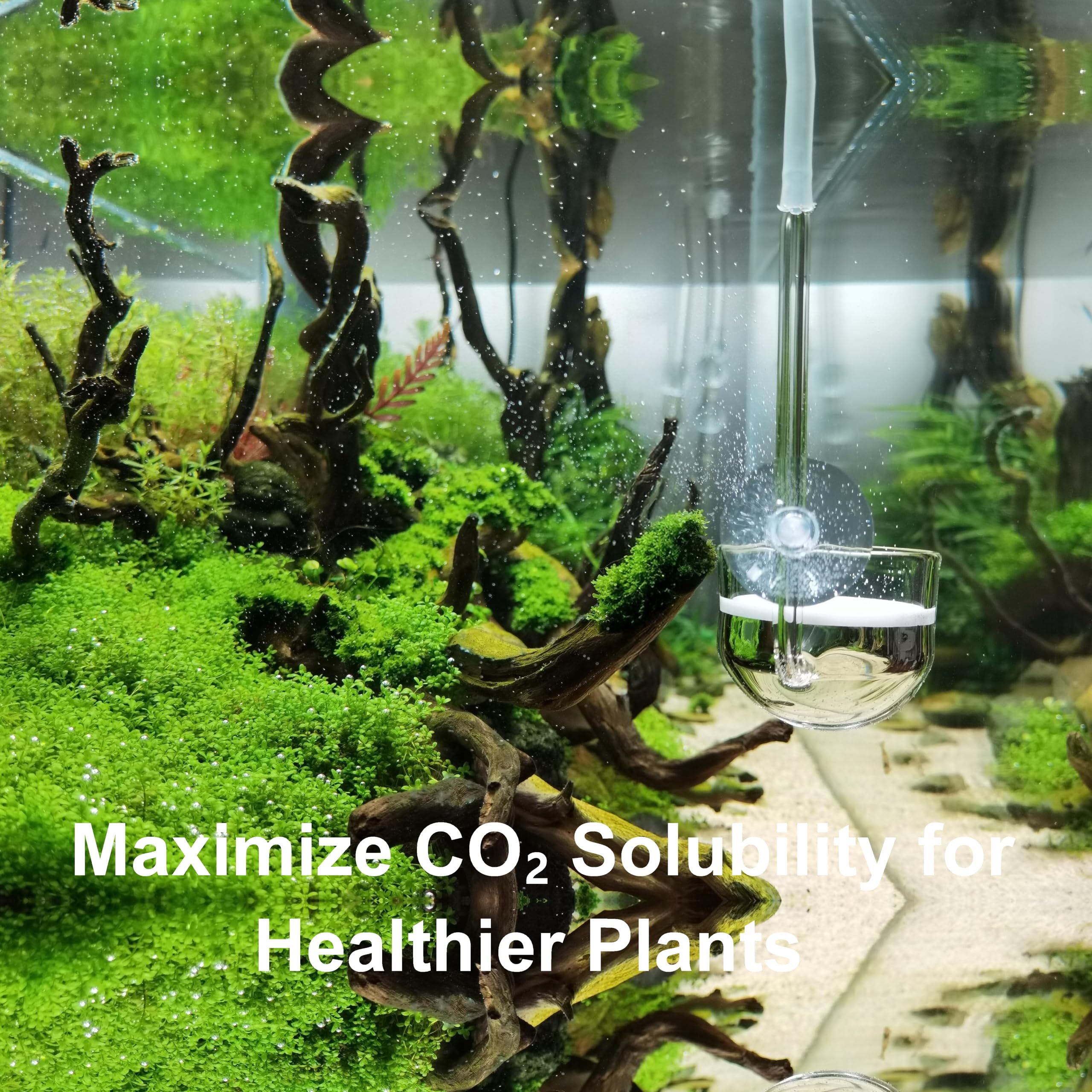 Diffuseur de CO2 en verre pour plante d'aquarium