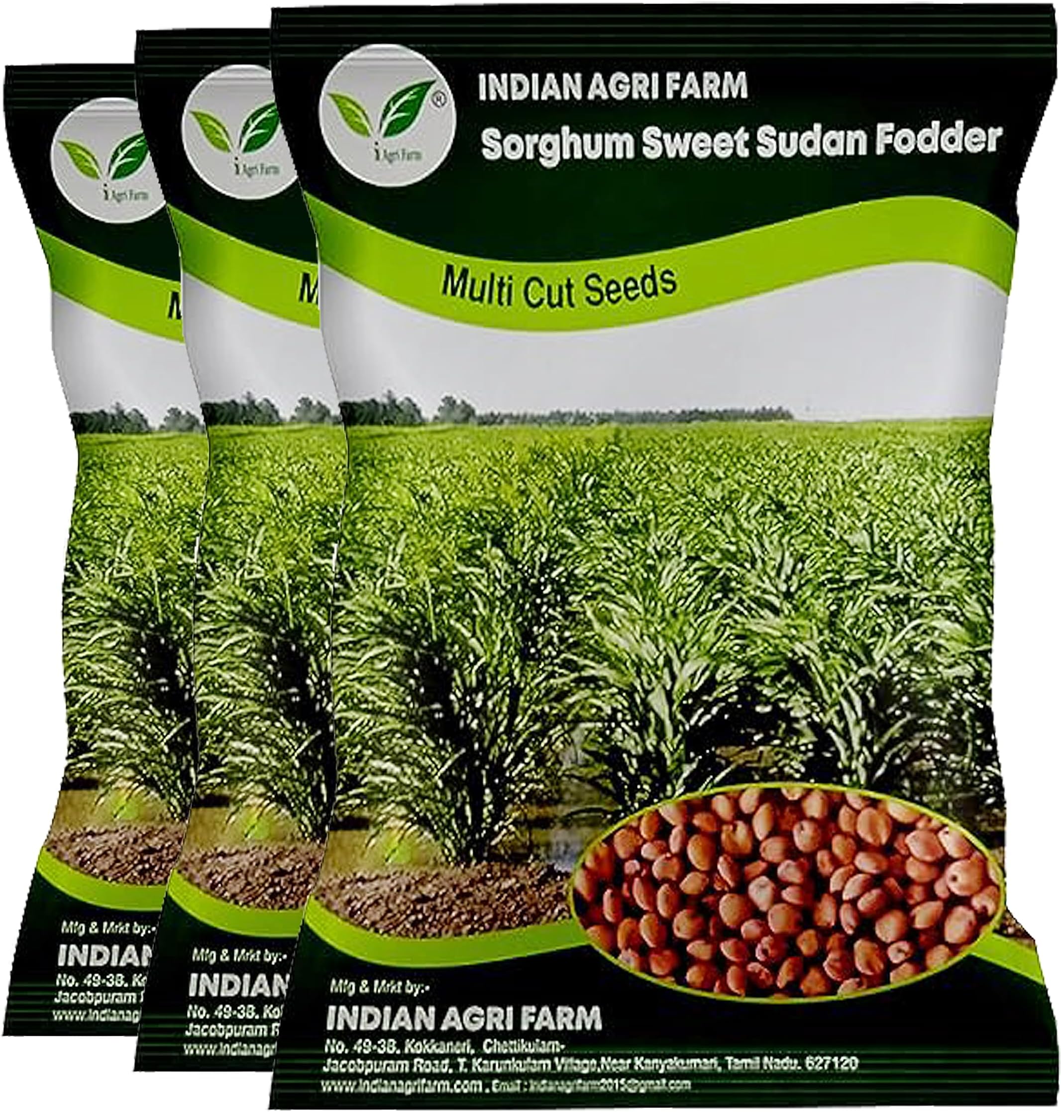 Iagrifarm Sorghum Sudan Grass Fodder Seeds - 3 Kg - Multi Cut Fodder Seeds For Fodder Cultivation