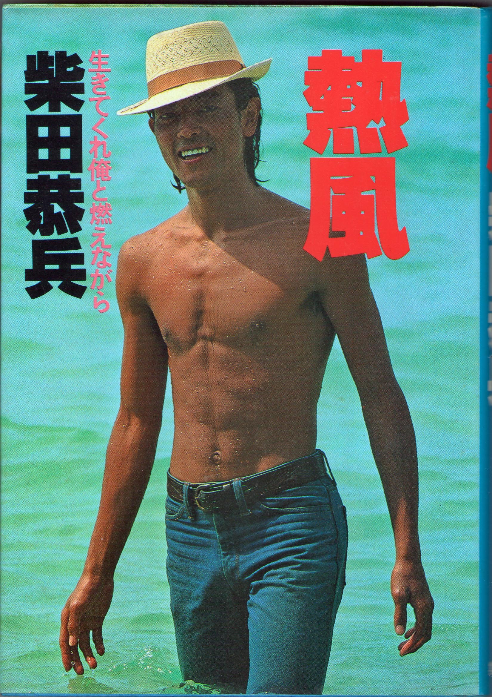 柴田恭兵 熱風 生きてくれ俺と燃えながら 自伝 - アート/エンタメ 