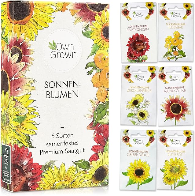 Sonnenblumen Sonnenblumen Samen Set Sommerblumen Blumensamen — Saatgut