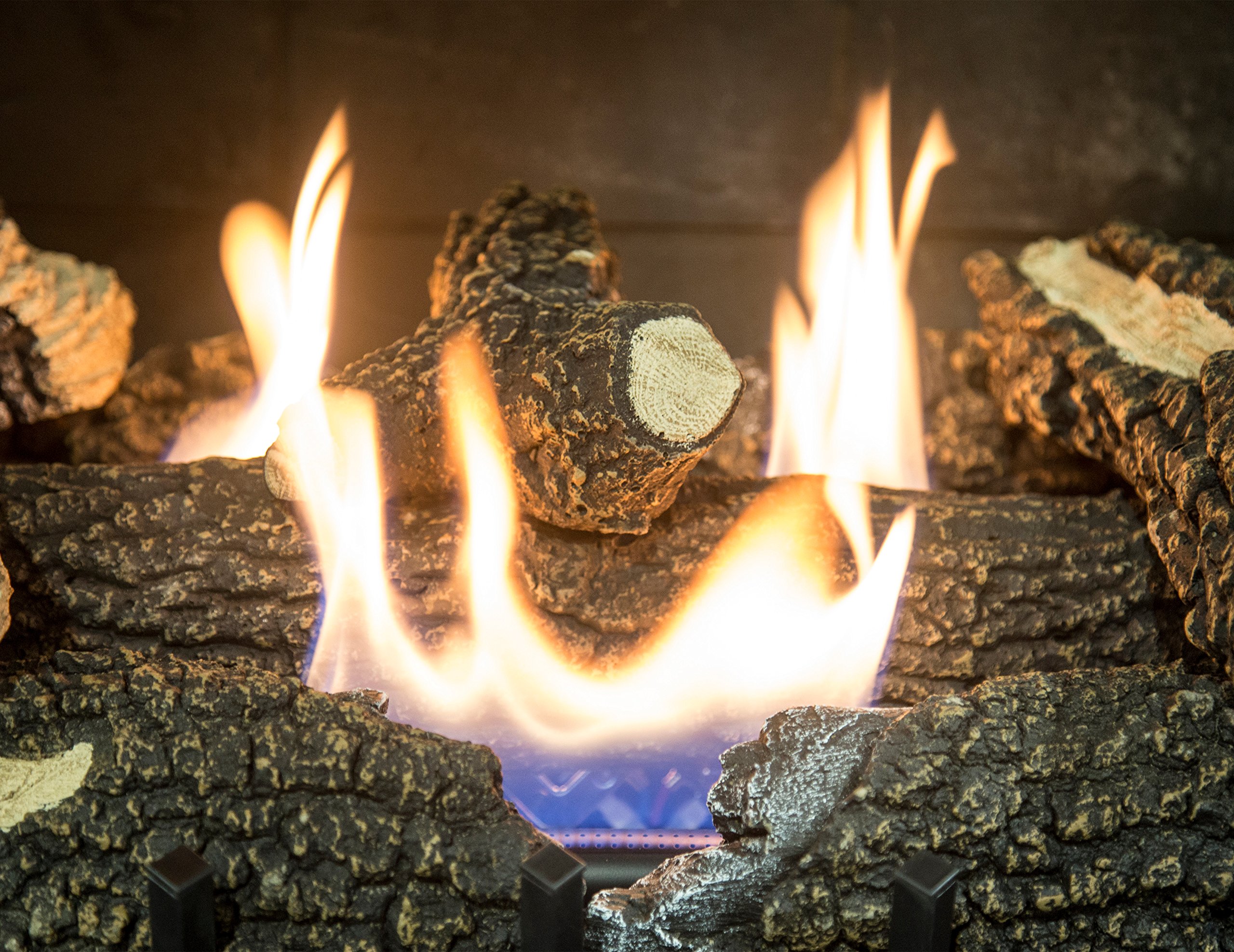 Amazon.com: Pleasant Hearth VFL2-WW24DT 30,000 BTU 24 Dual Fuel Wildwood  Vent Free Gas Log Set : Home u0026 Kitchen