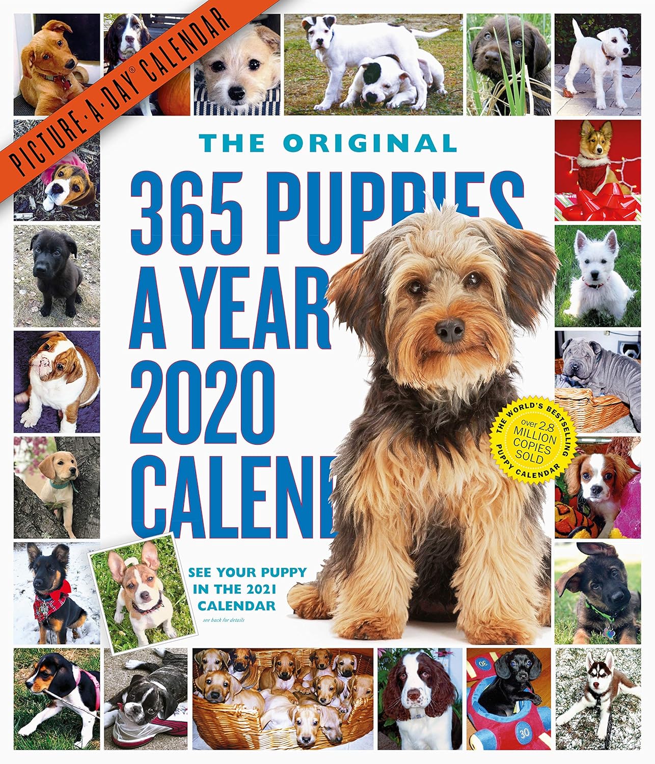 365 PuppiesAYear PictureADay Wall Calendar 2020 Workman Calendars