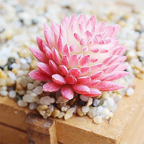 Miniatura 3 de BCP 4 piezas de mini suculentas artificiales, plantas de cactus, flores, materiales de bricolaje para plantas, pared, 4 colores