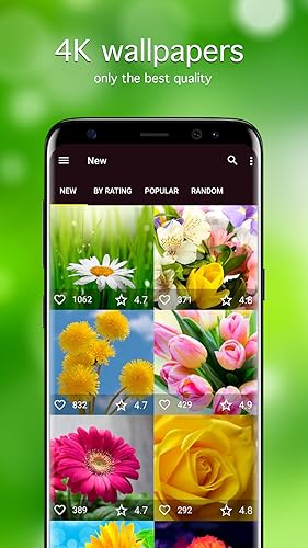 Flower Wallpapers and Backgrounds apps 4k