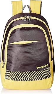 aristocrat college bags