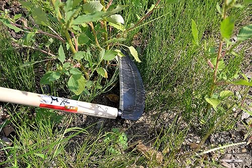 Miniatura 2 de KAKURI Herramienta de jardín profesional de hoz de hierba japonesa de mango largo, hoz japonesa Kama para deshierbar, 7.677 in (7.67 pulgadas),