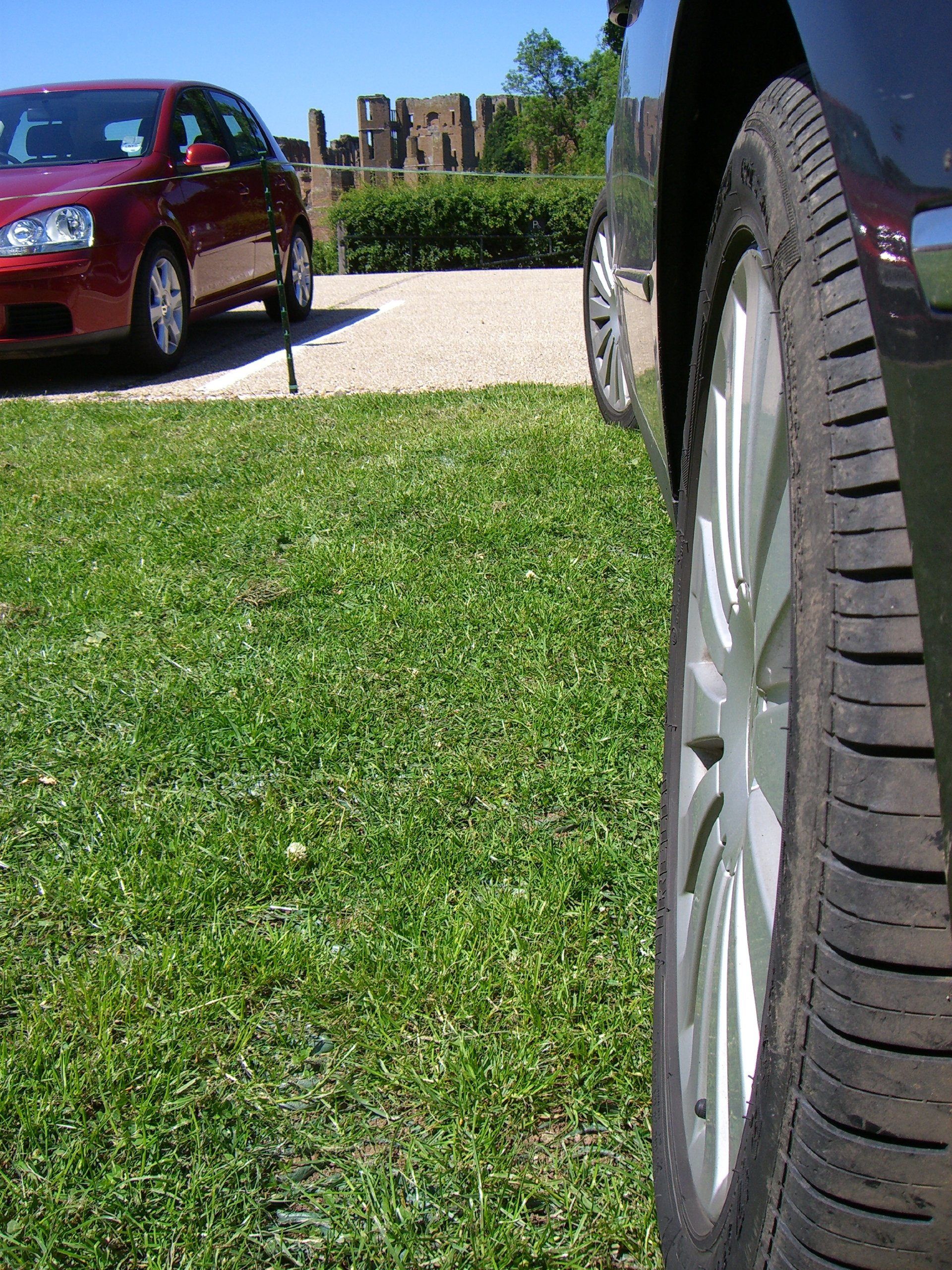 Buy Suregreen Grass Reinforcement Mesh 2m x 20m Turf Protection