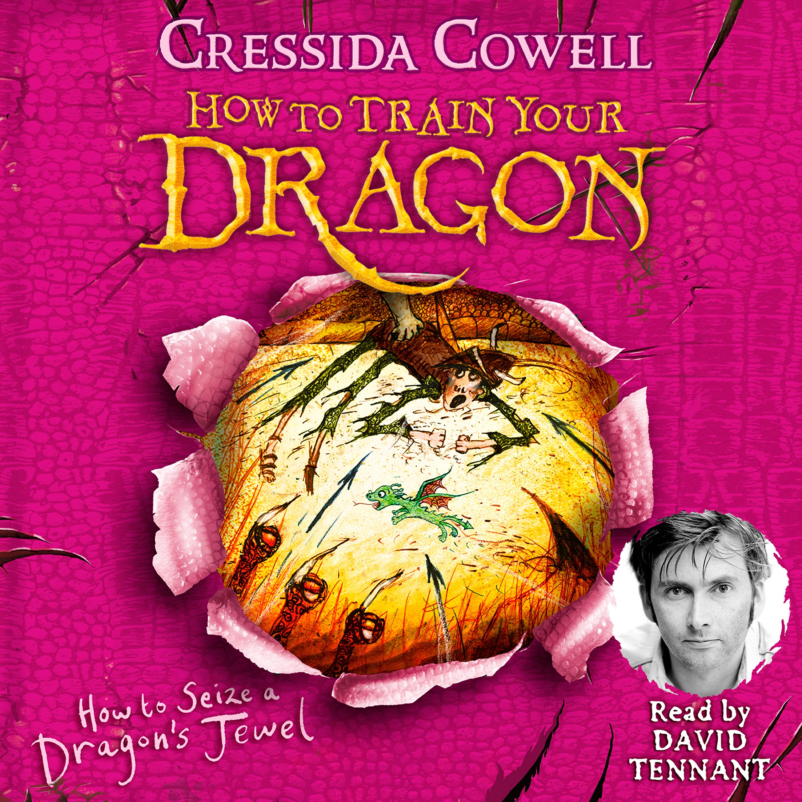 Cover art for How to Seize a Dragon's Jewel