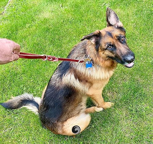 Miniatura 6 de Ravenox Correa de cuero para perro con asa de tráfico  (negro)(12 pulgada x 18 pulgadas)  Correa corta de cuero Latigo fabricada en Estados Unidos