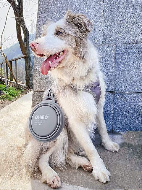 Foto 7 de 8 de OHMO Comedero para Perros y Gatos,Bebedero Perro Portatil,Cuenco de Viaje de Silicona para Mascotas,Plegable