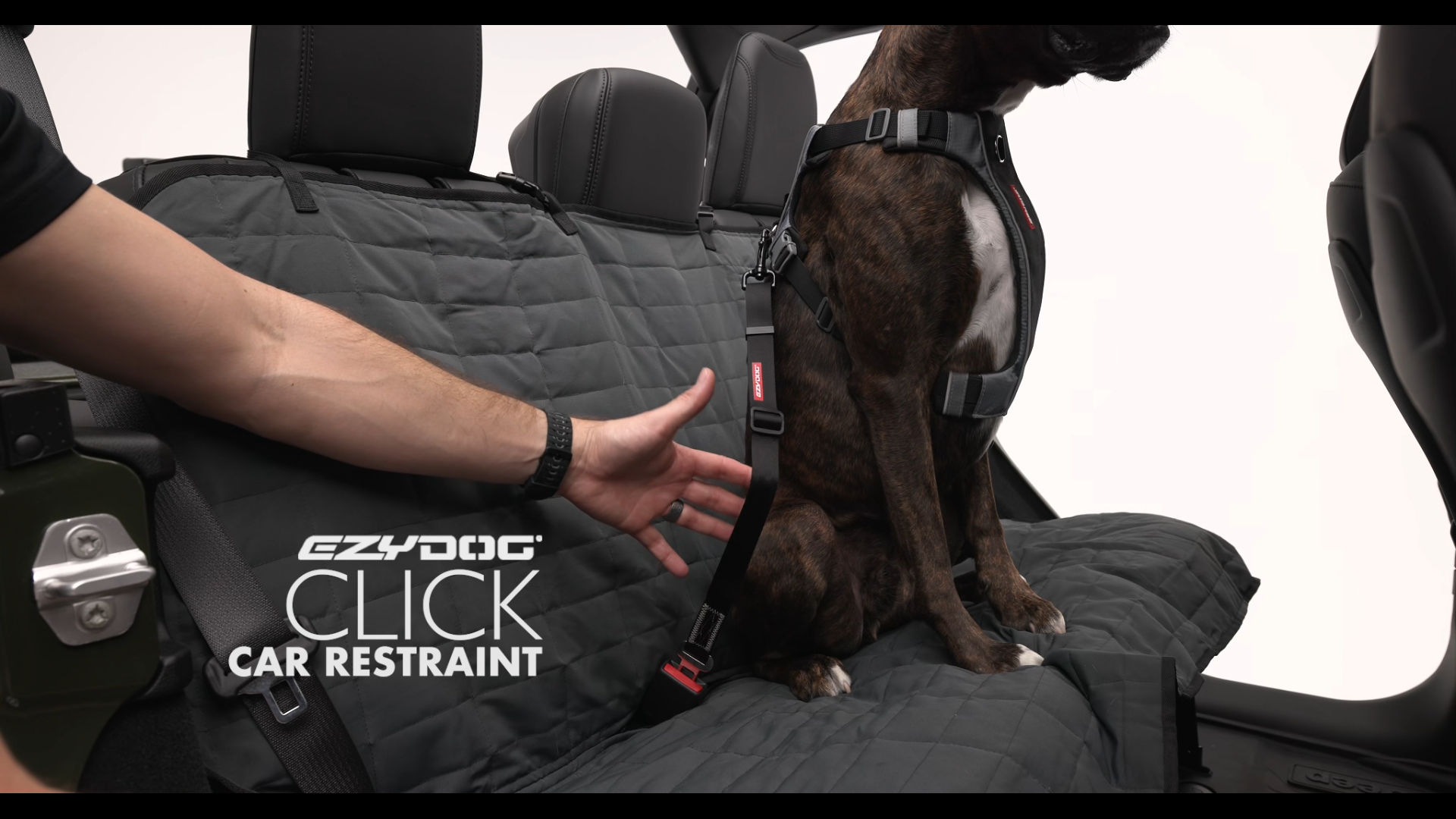 EzyDog Click – Dog Seat Belt for Car, Dog Harness Adjustable Seatbelt Attachment – Heavy Duty Nylon Seat Belt Webbing (17.5in - 26in) - image 7