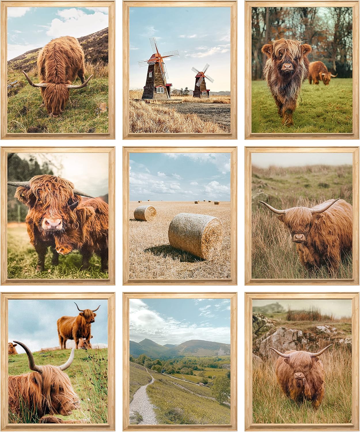 97 DECOR Highland Cow Wall Art Highland Cow Pictures Wall