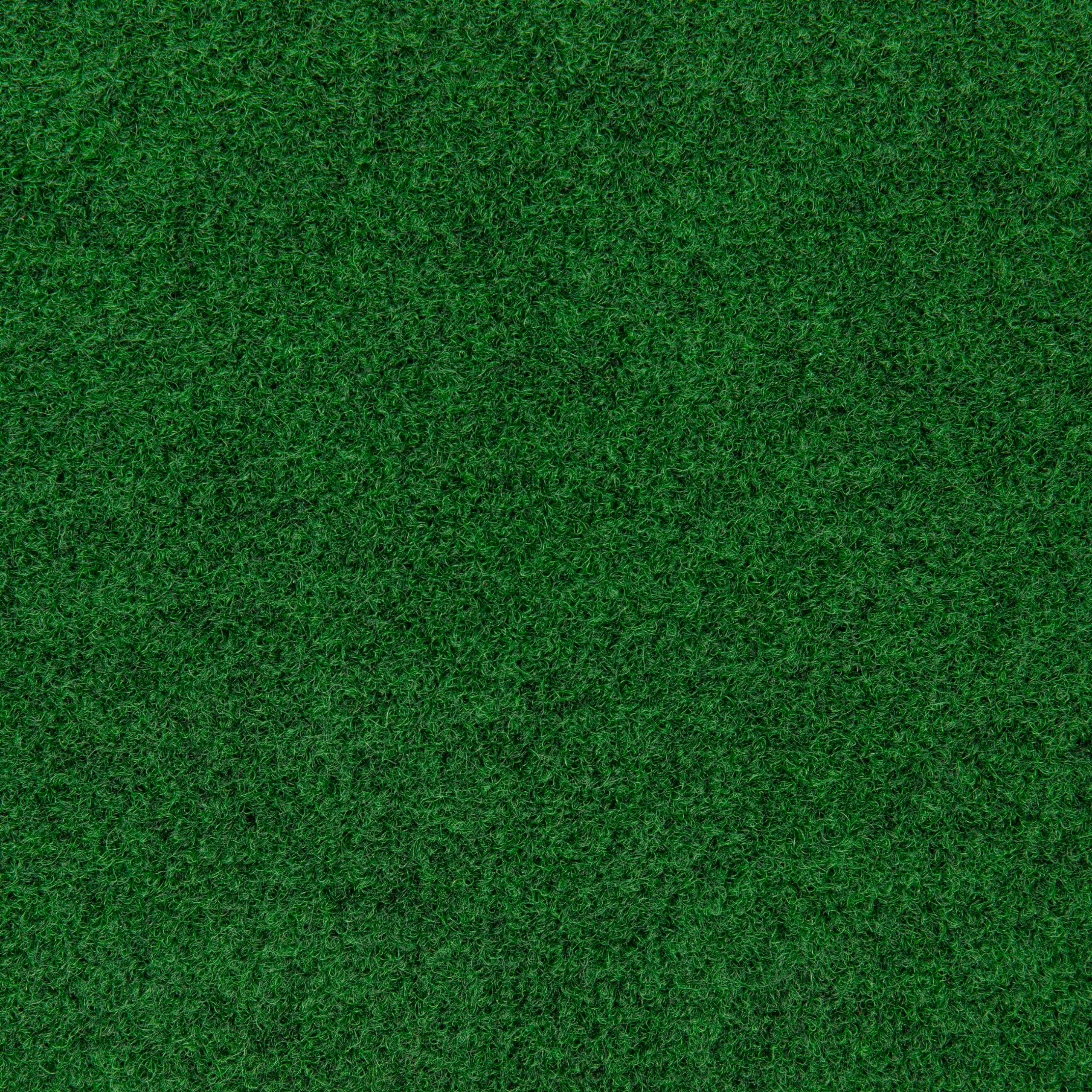 TAPISO Magic Forest Prato Sintetico per Esterno Drenante Erba Artificiale Prato Finto Rotolo al Metro Giardino Terazzo Balcone 200 x 1450 cm