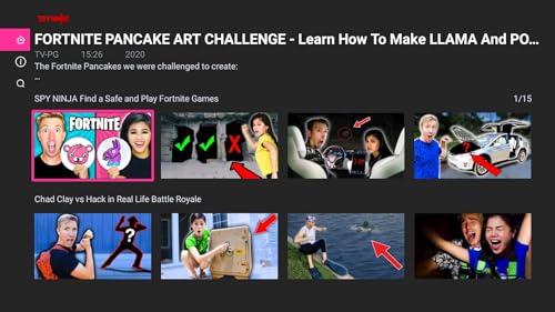 Spy Ninjas by Chad & Vy