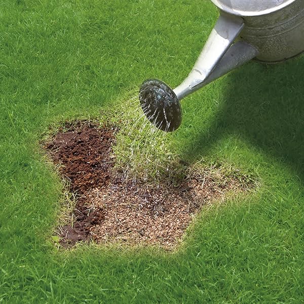 Miracle-Gro Patch Magic Grass Seed, Feed and Coir, 1015 g, Green - 3