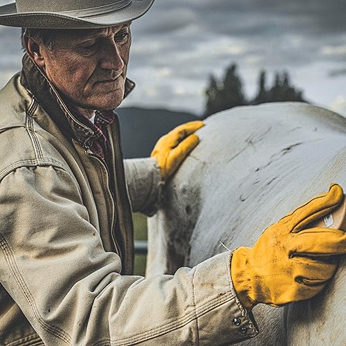 Miniatura 5 de Wells Lamont Men's Reinforced Cowhide Leather Work Gloves with Palm Patch