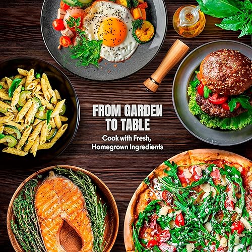 Miniatura 6 de Semillas de romero  Más de 100 personas sin OMG herencia cultivadas en Estados Unidos  Hierba culinaria aromática y hoja perenne fragante, apta para