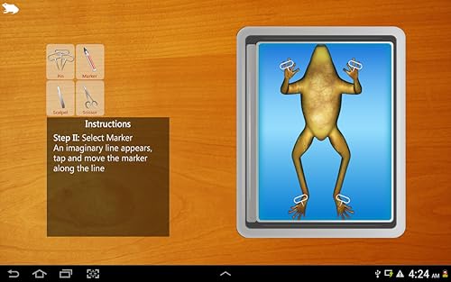 Frog Dissection For Tablet