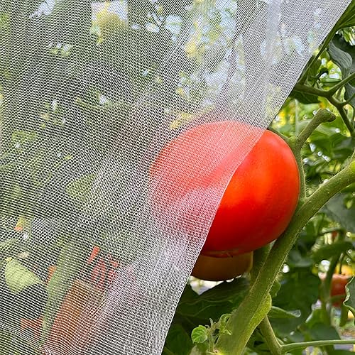 Red de malla de jardín de 10 x 33 pies para plantas, cubierta ultrafina para mantener árboles, verduras, frutas de cigarras mosquiteras para