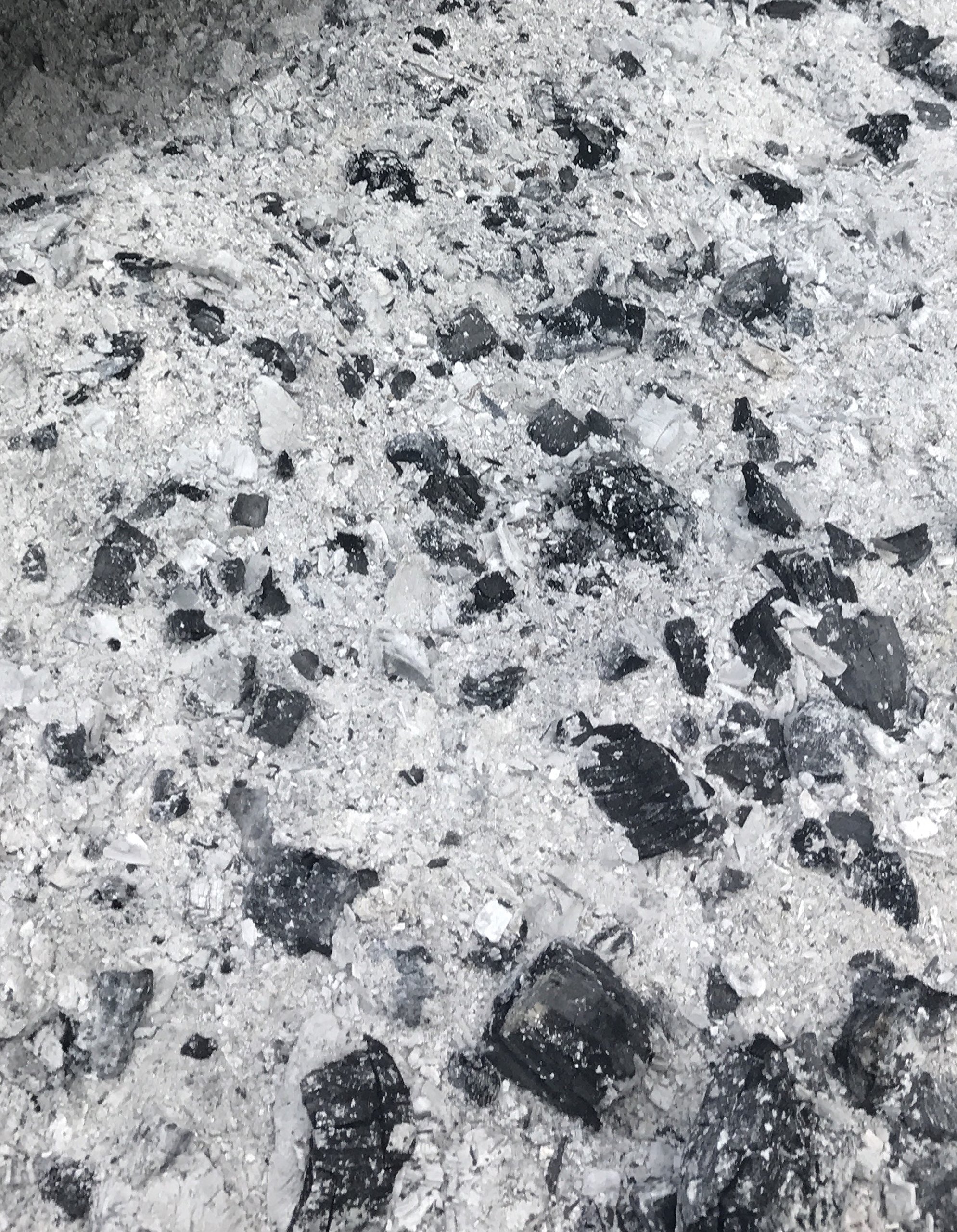 Buy Unfiltered Wood Ash with Biochar (Natural Fertilizer, Change Soil