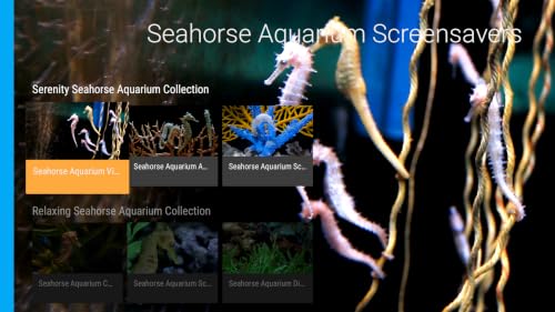 Mesmerizing Seahorse Aquarium Screensaver – vue 3