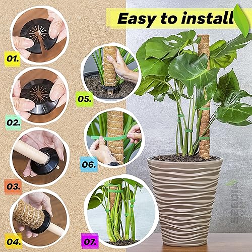 Miniatura 6 de Poste de musgo de 4 x 17 pulgadas para plantas Monstera + estabilizadores  Estacas de 53 pulgadas para plantas de interior  Postes de musgo para