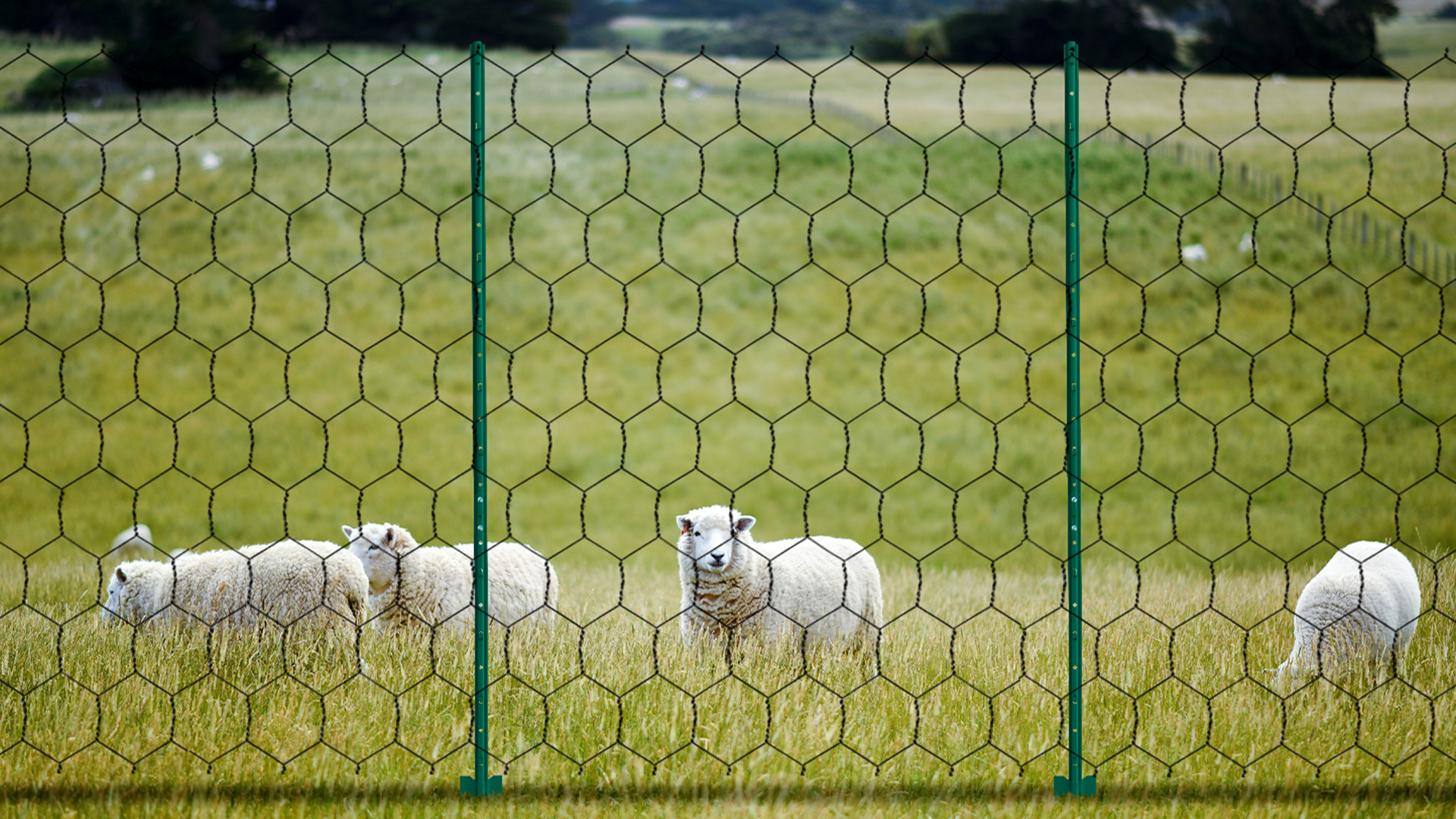 Amazon.com : Toriexon Fence Post 7 FT - 10 Packs, Metal Heavy Duty U Posts,  Powder-Coated for Long-Lasting Use, Perfect for Holding Wire &Plastic Mesh,  Corner Anchors, Green : Patio, Lawn & Garden