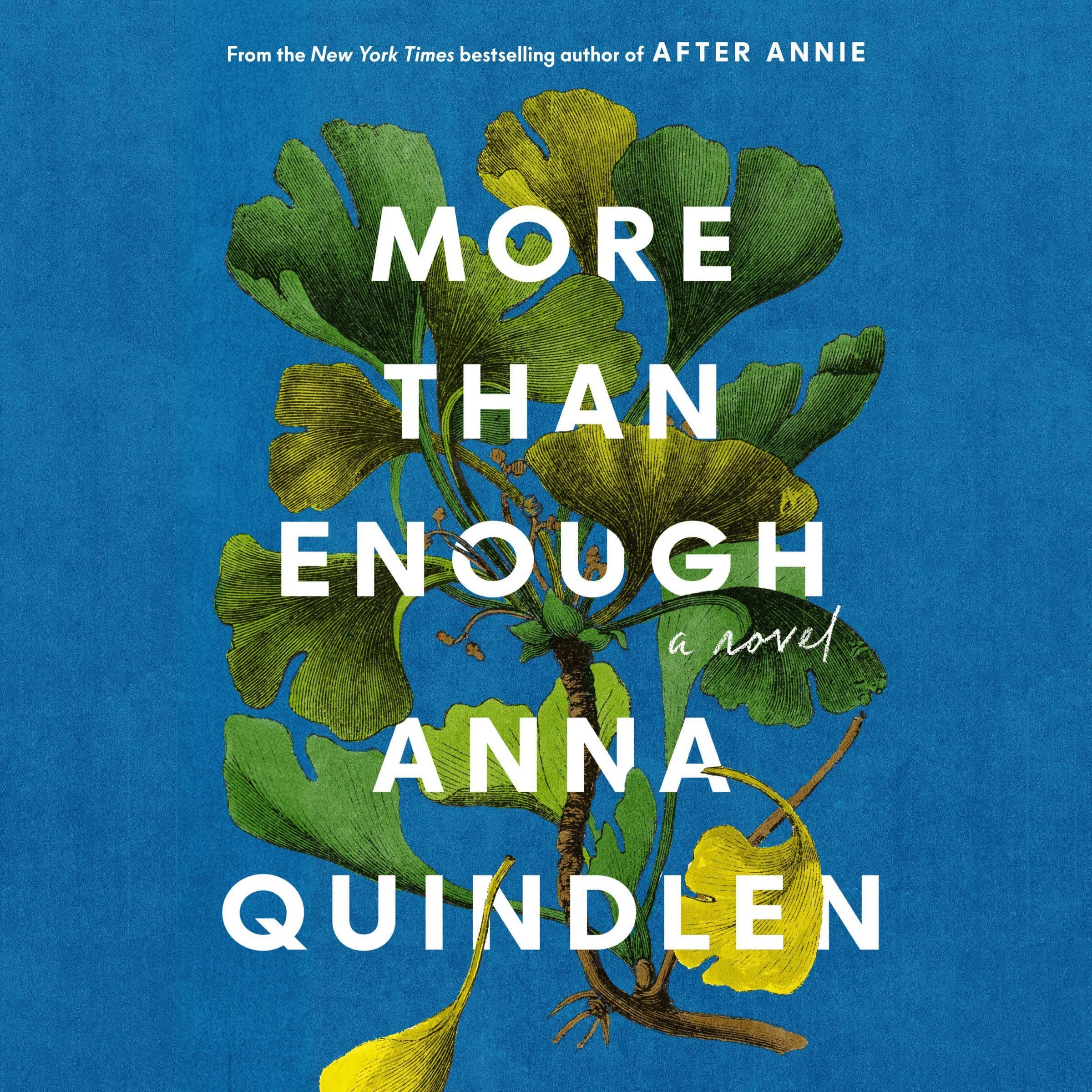 Cover art for More Than Enough