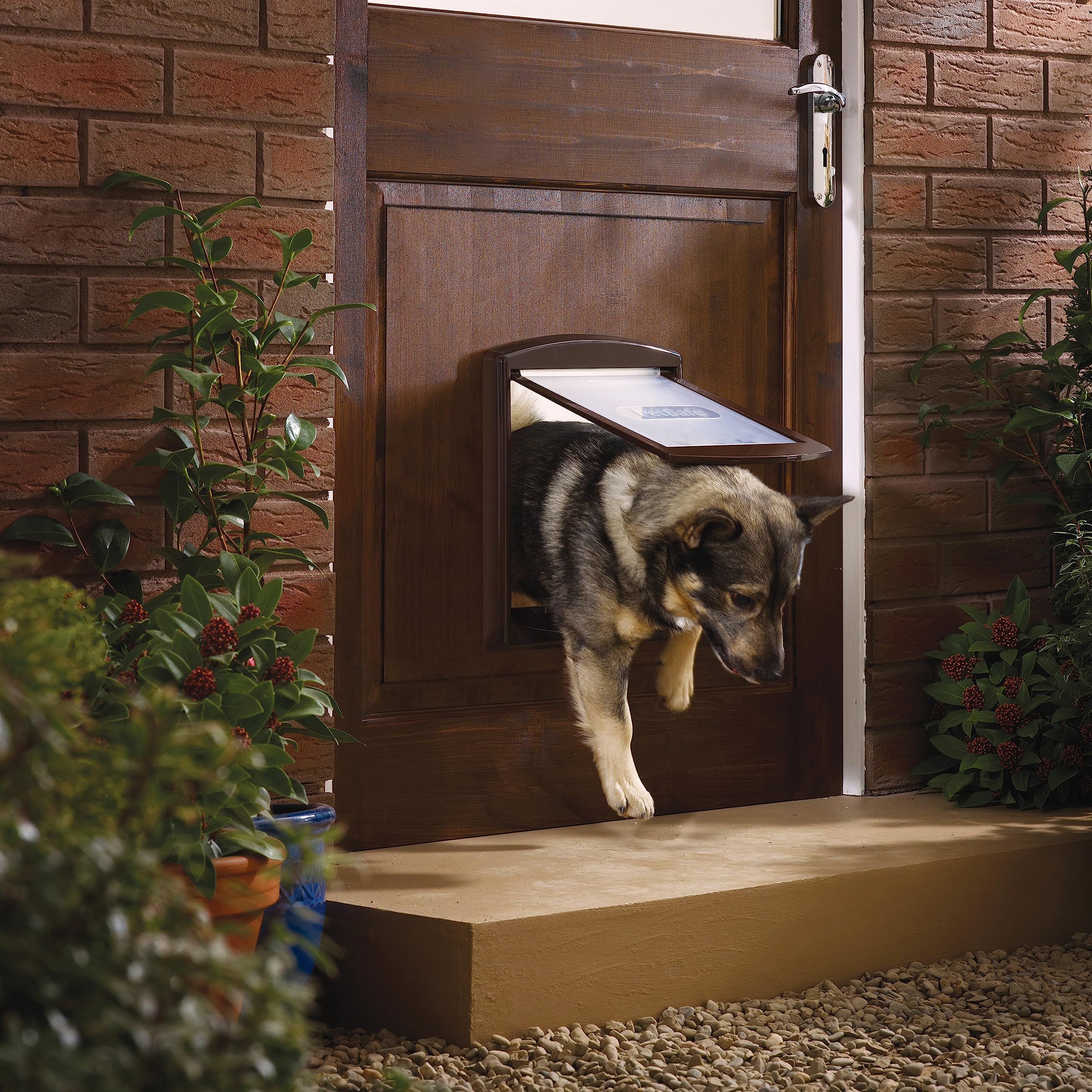 PetSafe - Extension de tunnel (S) pour Chatière, Compatible avec Porte pour Animaux d'Origine Staywell à 2 positions (série 700) - Petit, Brun