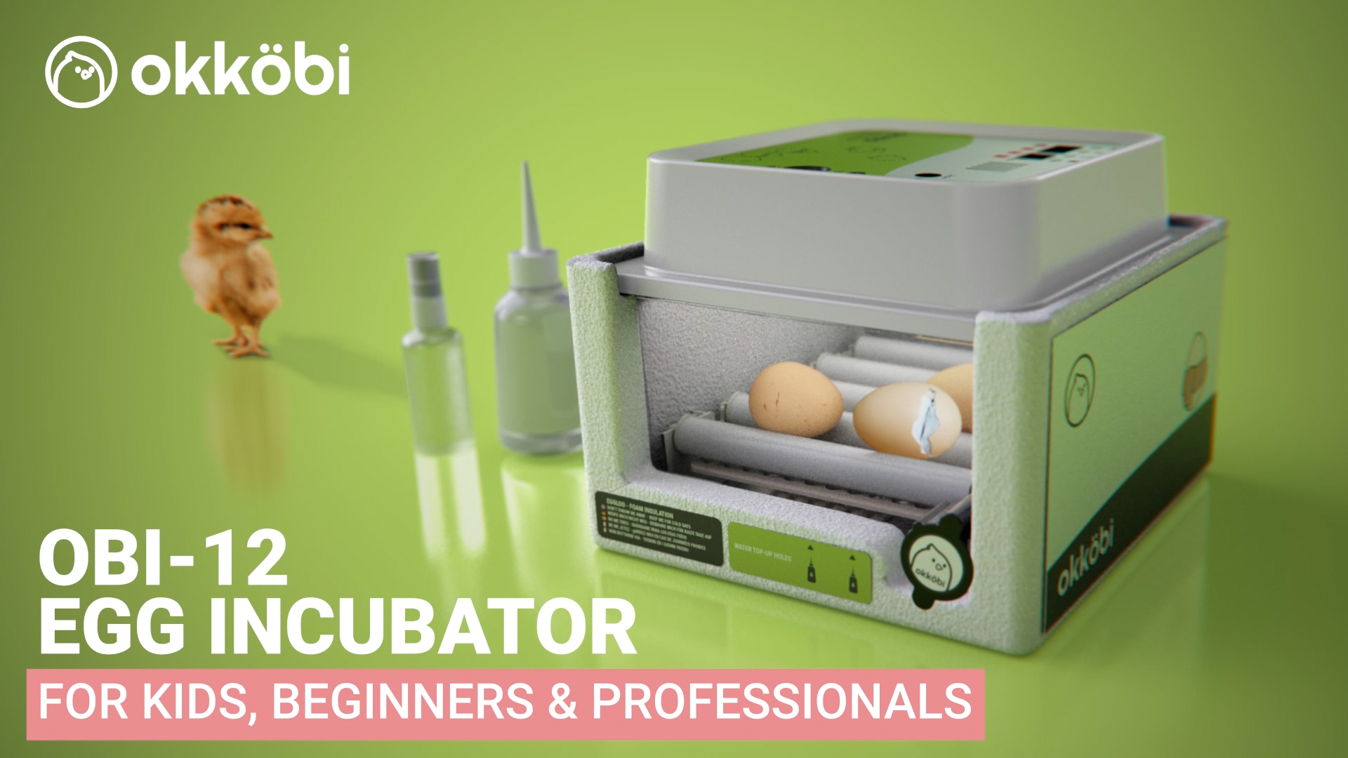 Watch OBI12 Egg Incubator on Amazon Live