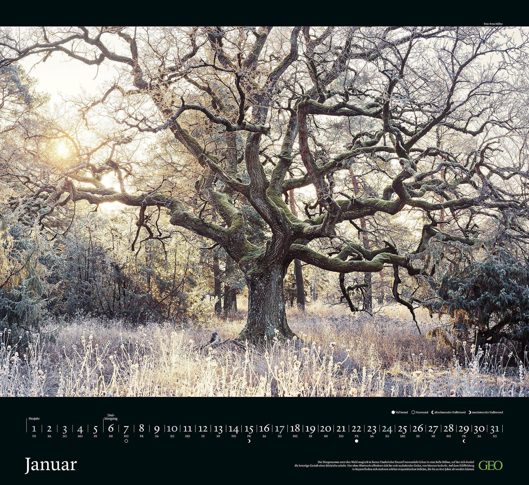 GEO Naturwunder Deutschland 2027: Wandkalender 60x55 cm mit 12 Fotografien, deutschem Kalendarium und Spiralbindung