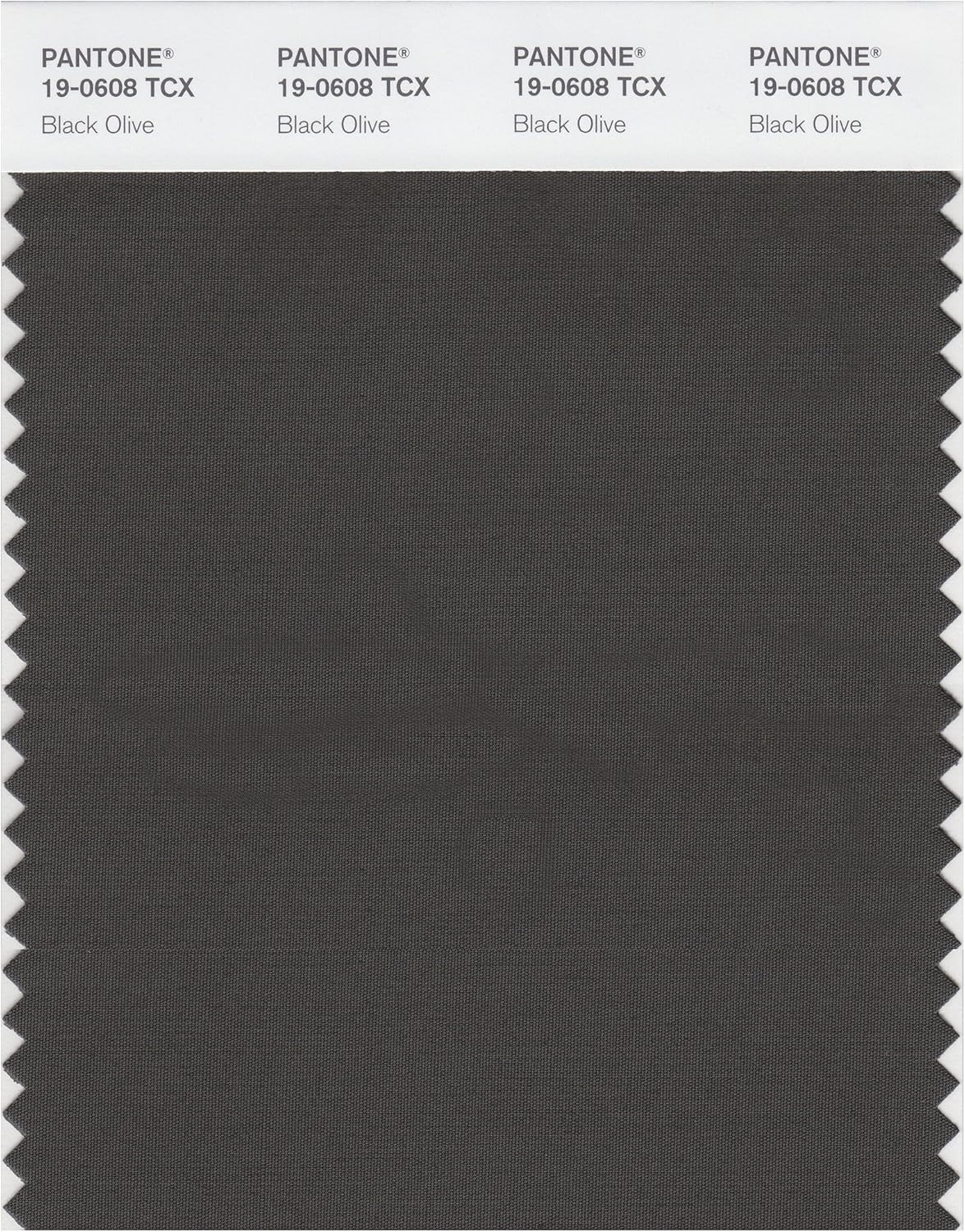 PANTONE Smart 19-0618X Color Swatch Card, Beech