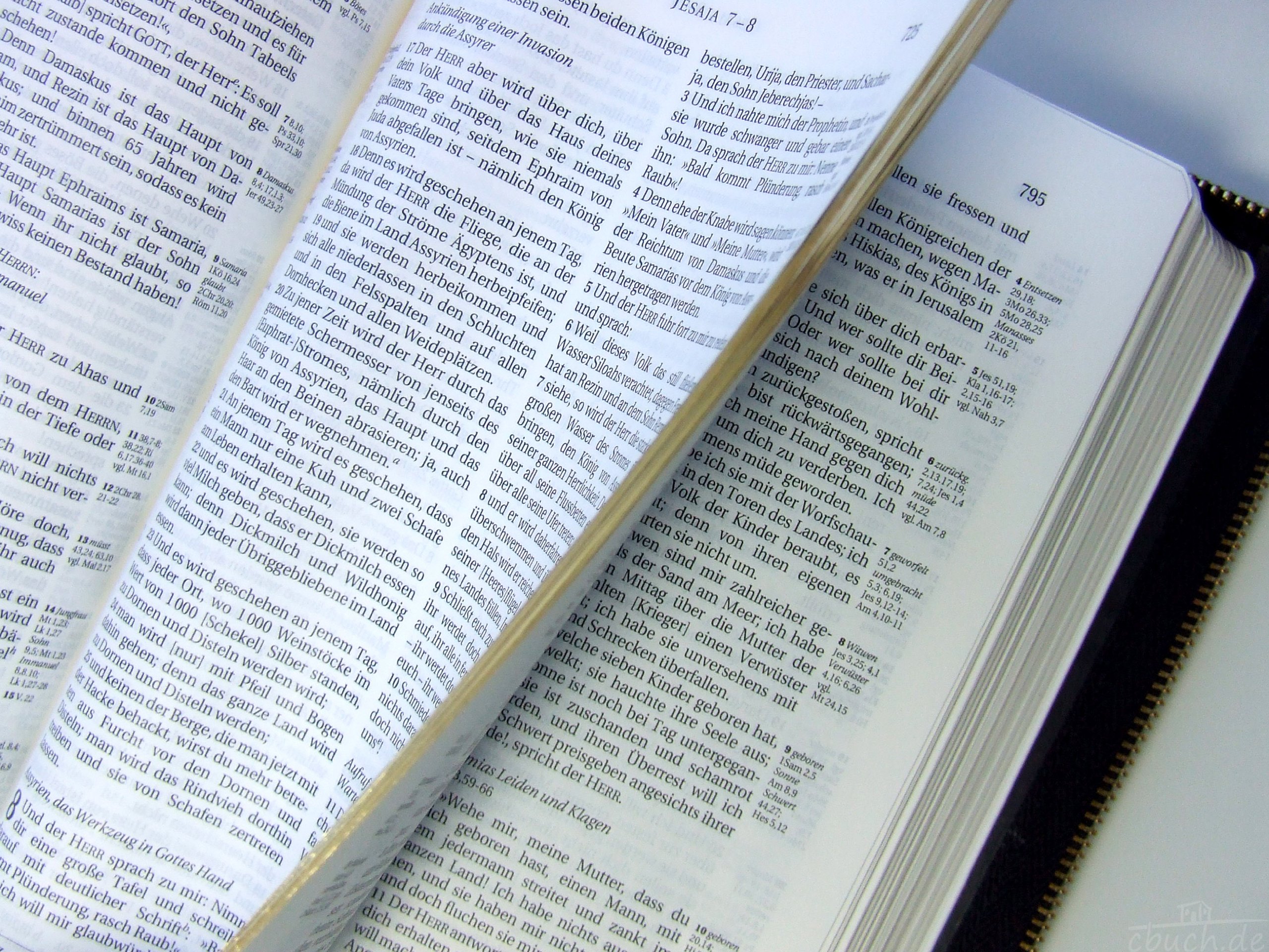 Schlachter 2000 Bibel - Taschenausgabe (Softcover, schwarz, Goldschnitt, Reißverschluss): Taschenausgabe mit Parallelstellen, Kalbsleder-Einband ... / Reißverschluss / Goldschnitt / Fadenheftung