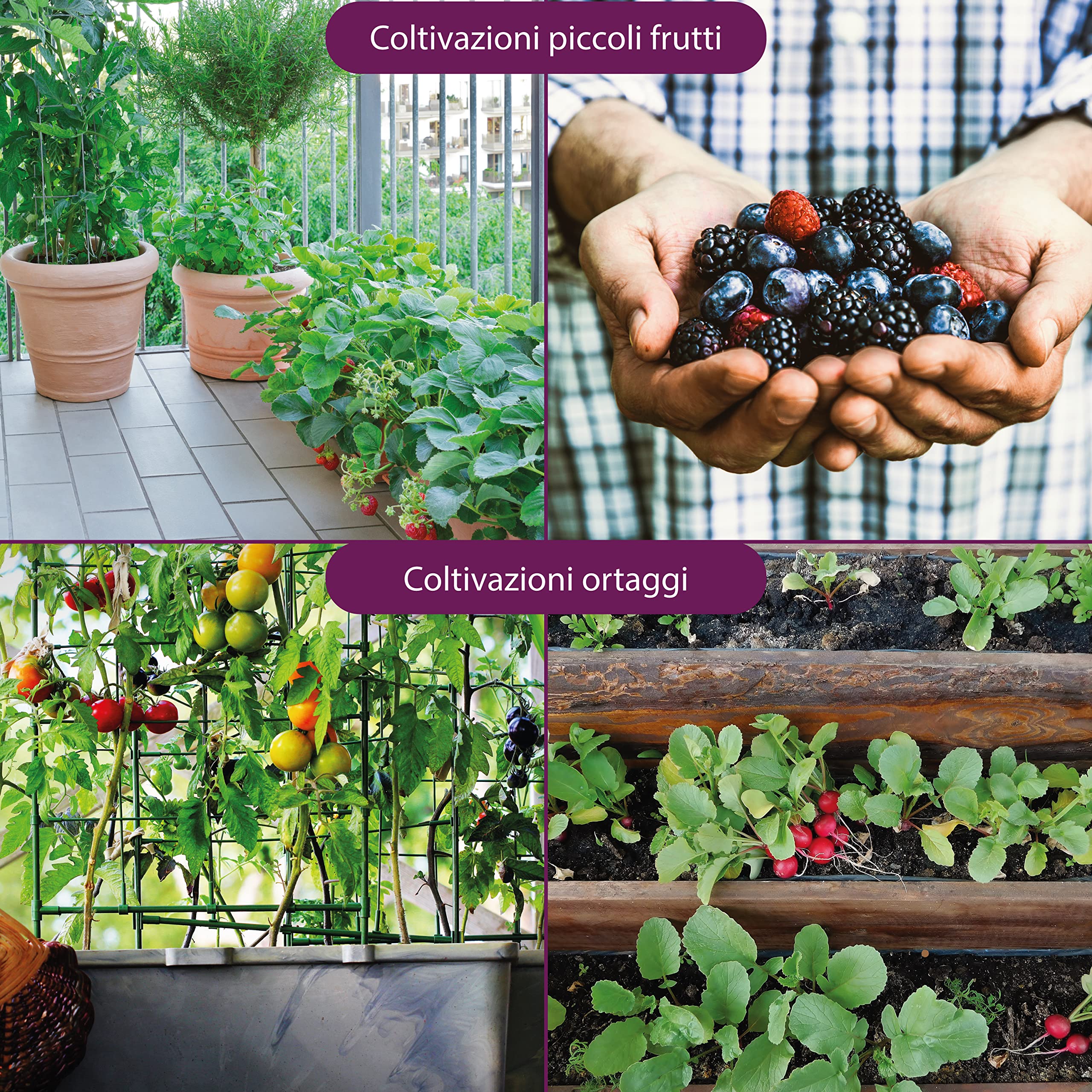 Terriccio Bio Per Orto Balcone 3L - Per Fragole E Piccoli Frutti, 100% Naturale - Foto 5