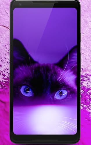 NANDA Purple - Papel de parede estético roxo