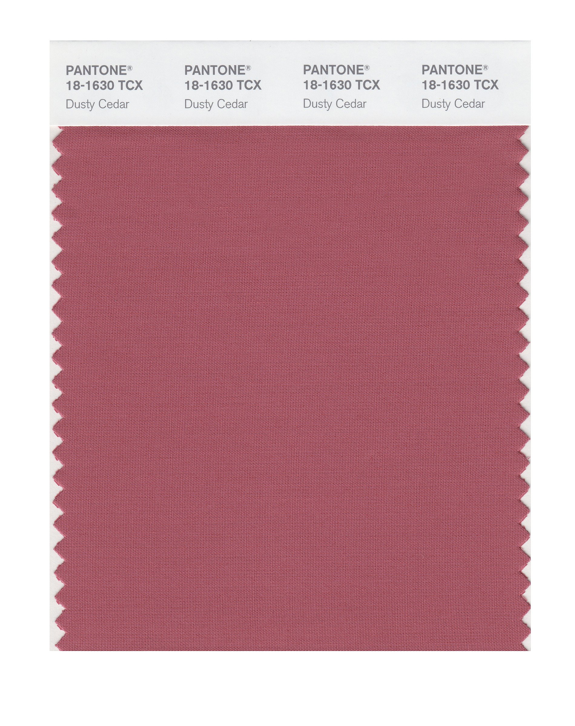 PANTONE Smart 18-1630X Color Swatch Card, Dusty Cedar