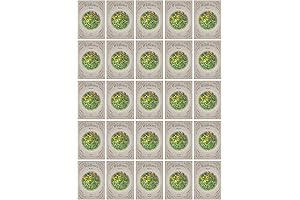 Wild Flower Seed Packets Bulk