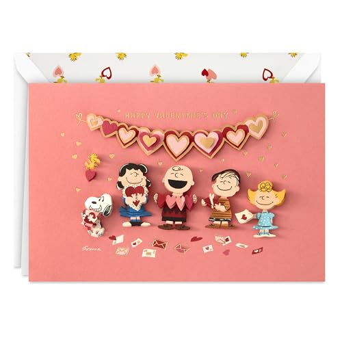 Hallmark Signature Peanuts Valentines Day Card (Handmade Valentines) (699VFE1134)