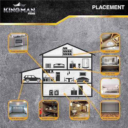 Miniatura 6 de Trampas de pegamento para ratas y ratones (tamaño grande)