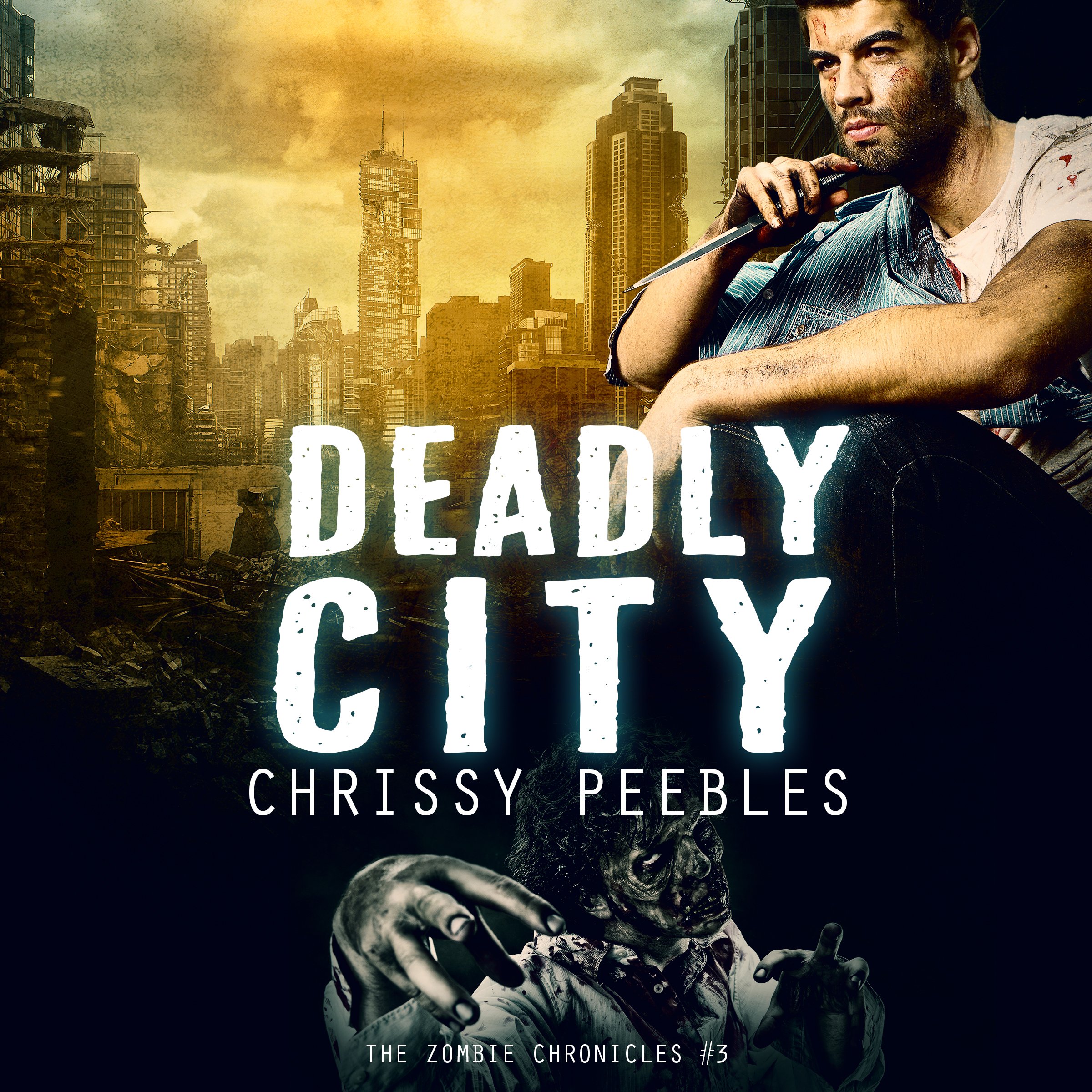 Cover art for The Zombie Chronicles, Book 3