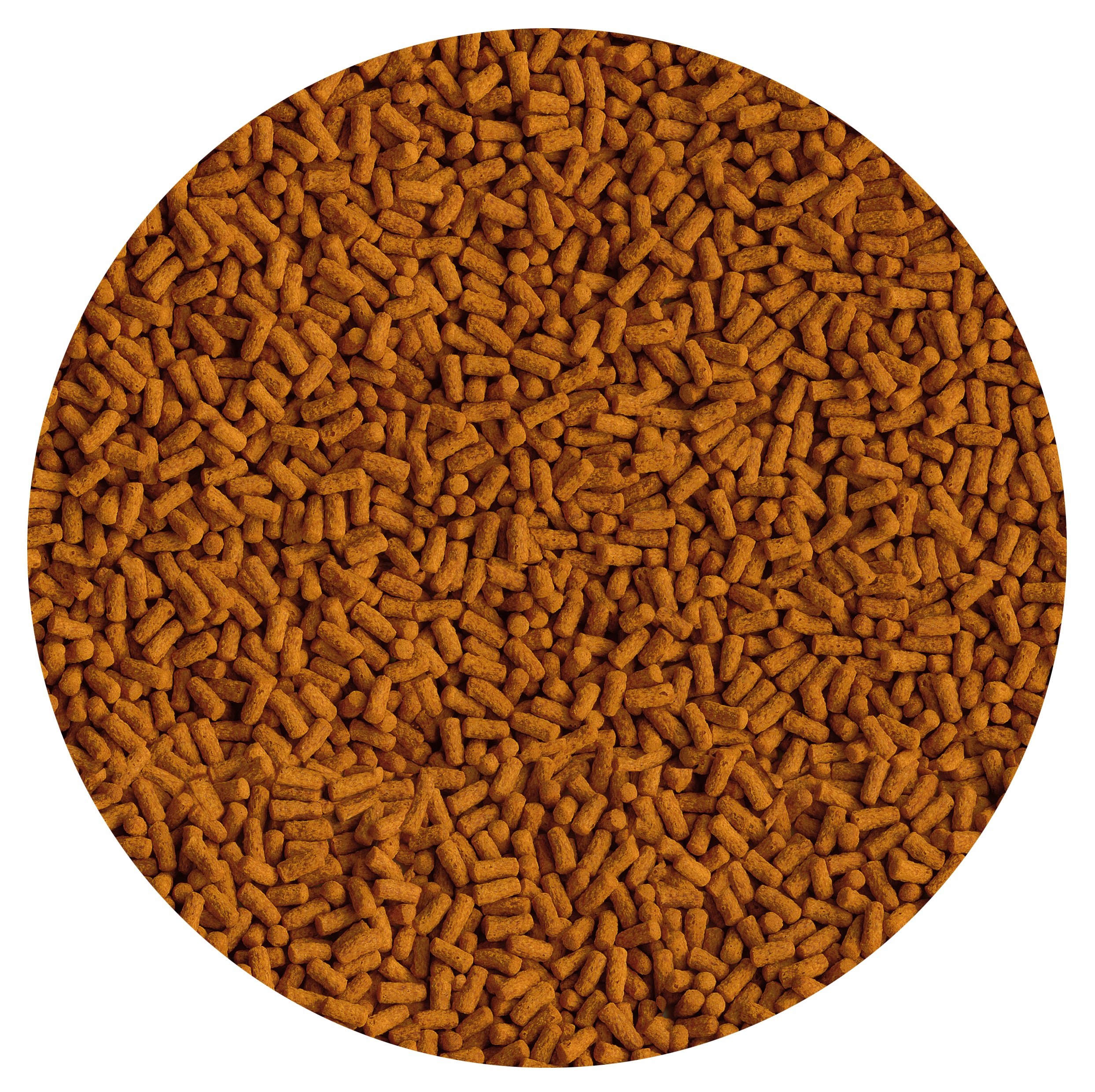 Tetra Pond Koi Colour&Growth Sticks 4 L / 1200 g