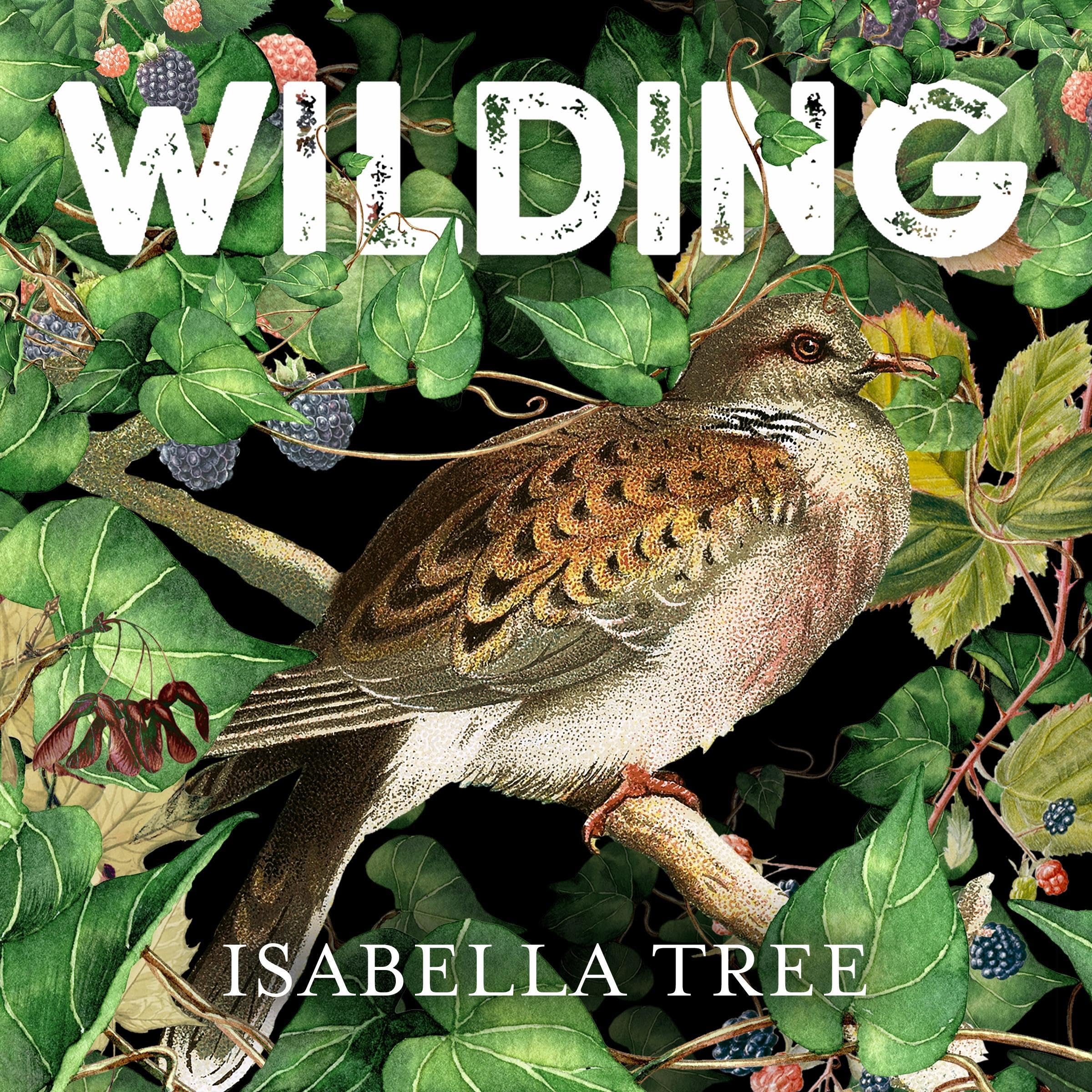 Cover art for Wilding